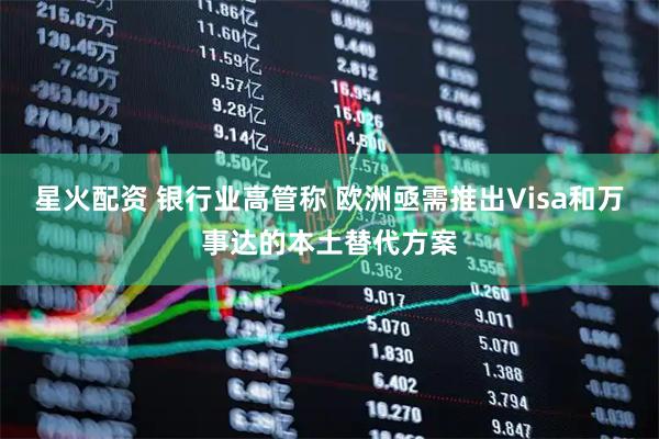 星火配资 银行业高管称 欧洲亟需推出Visa和万事达的本土替代方案