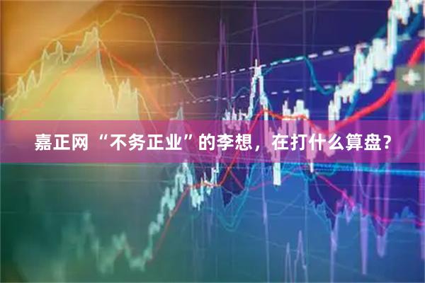 嘉正网 “不务正业”的李想，在打什么算盘？