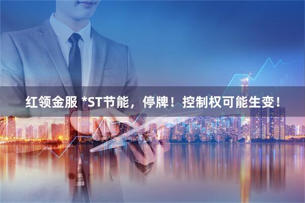 红领金服 *ST节能，停牌！控制权可能生变！