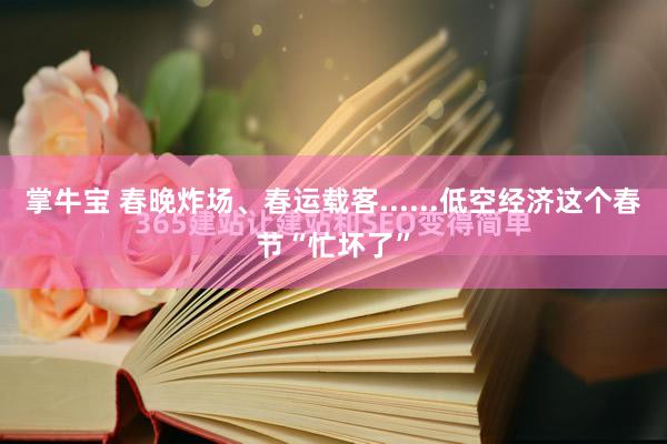 掌牛宝 春晚炸场、春运载客......低空经济这个春节“忙坏了”